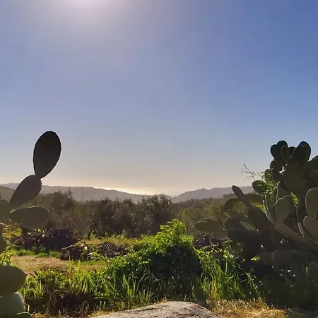 Casa de Férias Arcobaleno By Interhome