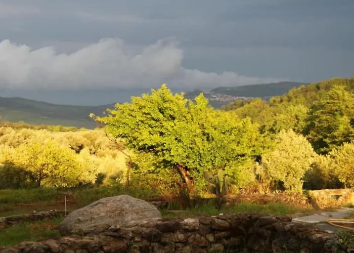 Arcobaleno By Interhome 度假居