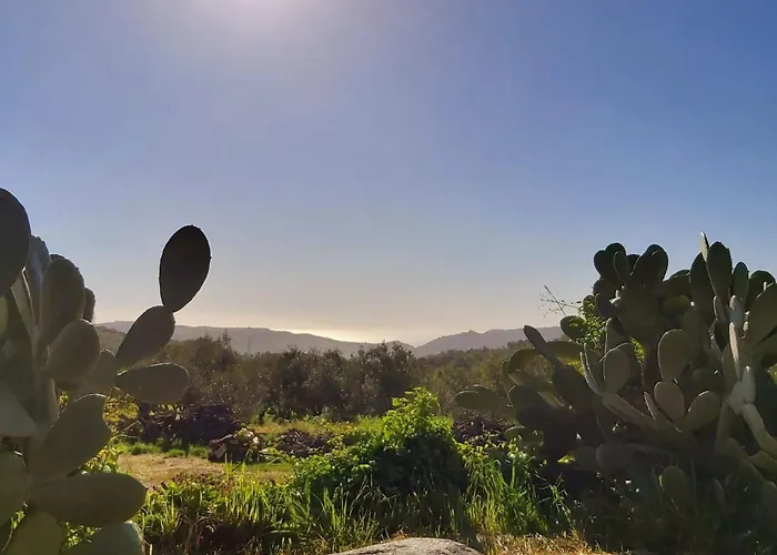 Casa de Férias Arcobaleno By Interhome