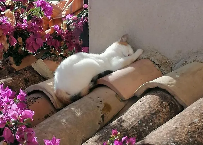 Arcobaleno By Interhome * Girifalco