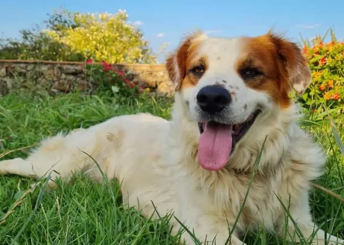 Casa de Férias Arcobaleno By Interhome