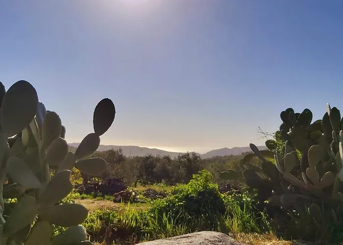 Arcobaleno By Interhome