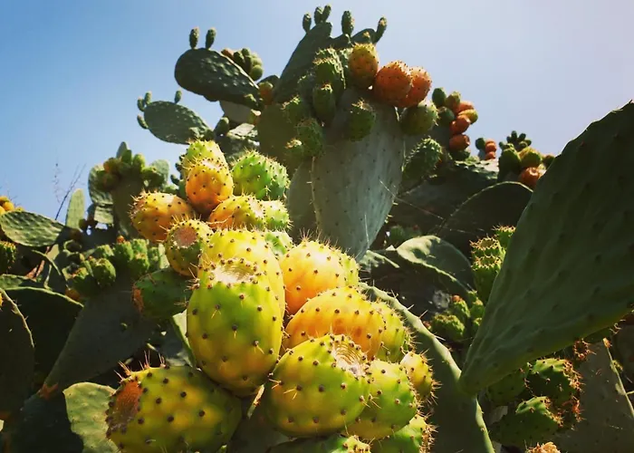 Arcobaleno By Interhome *